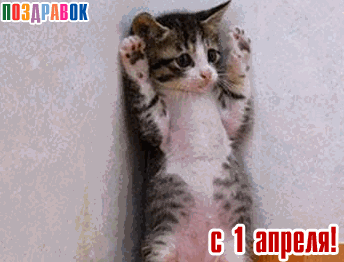 ���������� ������������ � 1 ������