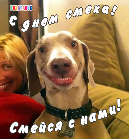 1 ������