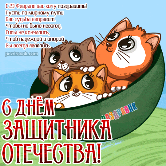 � 23 �������