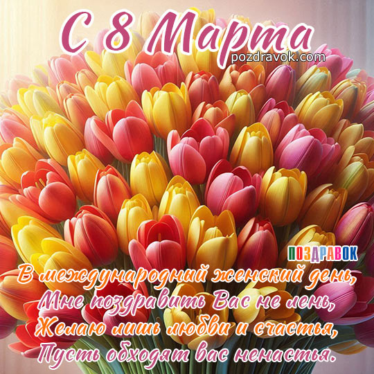 � 8 �����