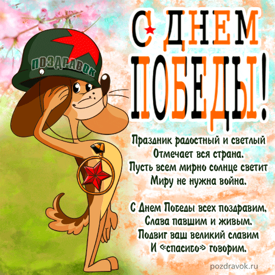������������ � 9 ���