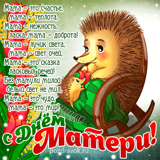 ���� ����