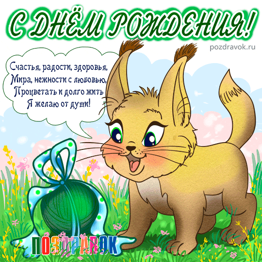 ������������ � ���� ��������