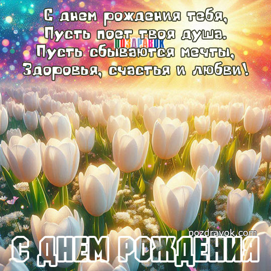 ������������ � ���� ��������