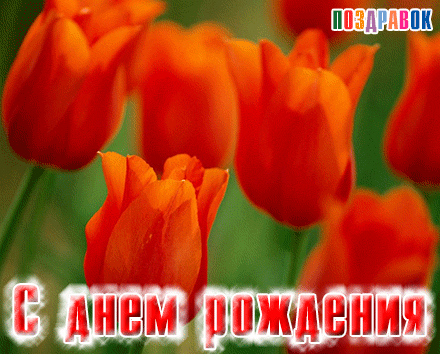 �������� � ���� ��������