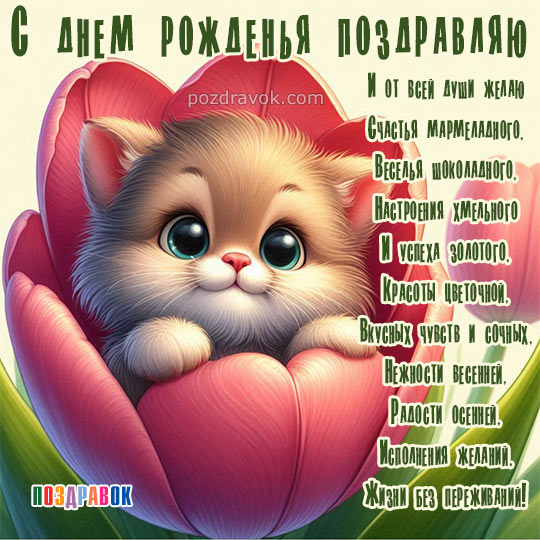 ������������ � ���� �������� �������