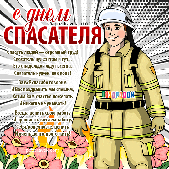 ���� ���������