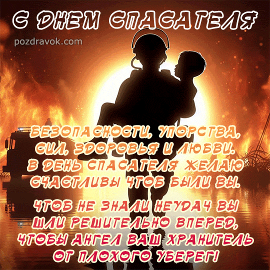 ���� ���������