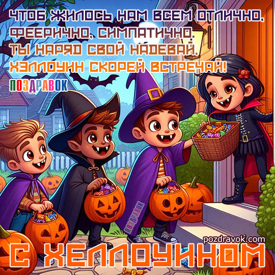 ������������ � ����������