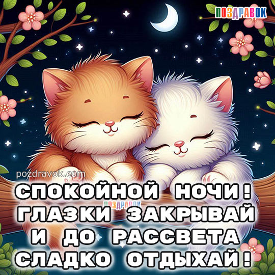 �������� ������� ����
