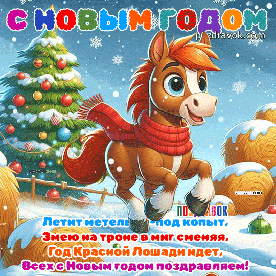 � ����� �����