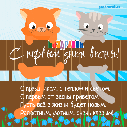 � ������ ���� �����
